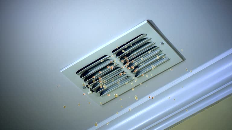 Best Home Air Vent Cleaning  in Savannah, TX